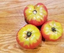Image result for love apples tomatoes