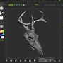 Image result for Deer Skull Front View with Jaw