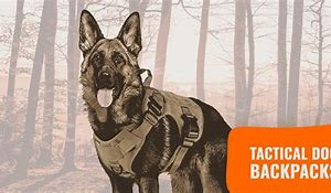 Image result for Tactical Dog Backpacks