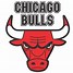 Image result for Chicago Bulls Logo Transparent