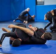 Image result for Grappling Styles