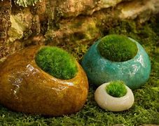 Image result for Moss Rock Decor