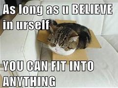 Image result for Inspirational Cat Memes Funny