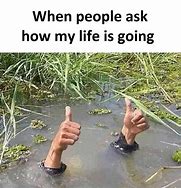 Image result for How My Life Is Going Meme