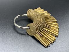 Image result for Holigan Key Ring