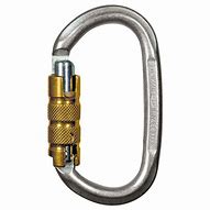 Image result for carabiners clips for camp