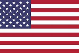 Image result for American Flag On Stick Drawing