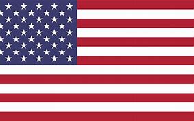Image result for iPhone 11 American Flag Phone Case