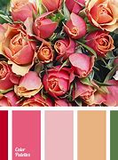 Image result for iPhone Red Color