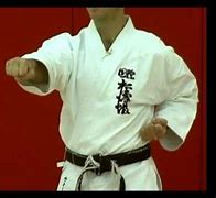 Image result for Karate Straight Punch