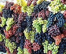 Image result for Five Grapes