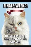 Image result for Nursing Finals Meme