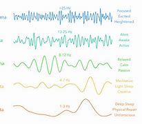 Image result for Brain Waves for Memory