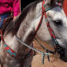 Image result for Custom Horse Tack