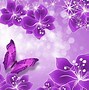 Image result for Purple Butterfly Images. Free