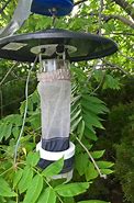 Image result for Official Louisiana Mosquito Trap