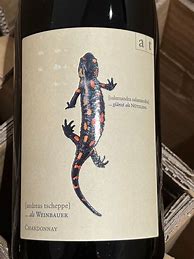 Image result for Andreas Tscheppe Chardonnay Salamander