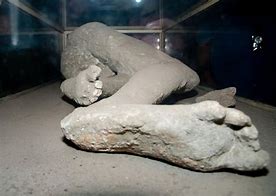 Image result for Plaster Casts at Pompeii