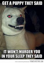 Image result for Demon Dog Meme