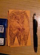 Image result for Wolf Sketches