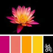 Image result for Colors That Blend with Pink