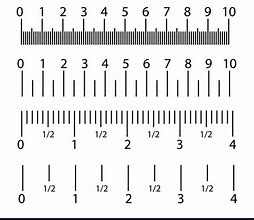 Image result for Printable 30Cm Ruler