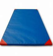 Image result for Judo Mats