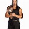 Image result for WWE Universal Championship Roman Reigns