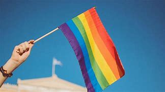 Image result for QVC Pride Month