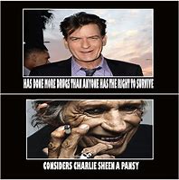 Image result for Charlie Sheen Meme Nice Guys