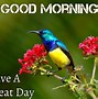Image result for Good Morning Have a Great Day Quotes for Him