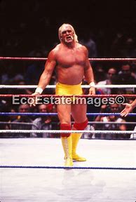 Image result for Hulk Hogan 90s