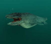 Image result for Largest Sea Animal Ever