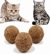 Image result for Catnip Balls