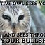 Image result for Hello Meme Owl