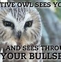 Image result for Owl Morning Funny Memes