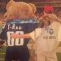 Image result for Tennessee Titans Mascot Costume