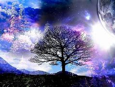 Image result for Tree of Life Wallpaper 1920X1080