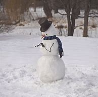 Image result for Crazy Christmas Snowman