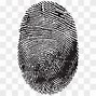 Image result for Forensics Fingerprint Logo