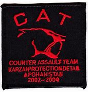 Image result for Counter Assault Team Logo