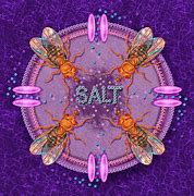 Image result for Naturally Salty Foods
