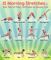 Image result for Back Stretching Equipment