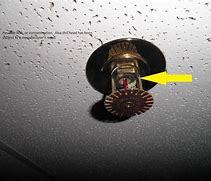 Image result for Corroded Fire Sprinkler Head