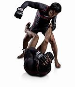 Image result for Most Powerful Martial Arts