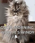 Image result for Windy Day Meme Image Funny