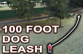 Image result for How Much Ius 100 Feet
