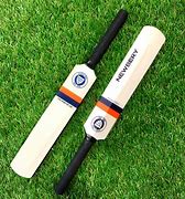 Image result for Cricket Bat with Equipment