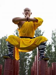 Image result for Martial Arts Chinese Monk