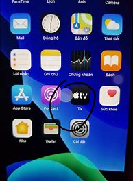 Image result for iPhone 11 White Screen